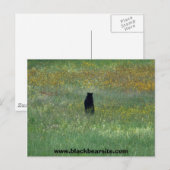 zwart beer briefkaart (Voorkant / Achterkant)