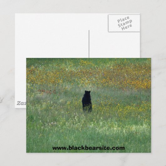 zwart beer briefkaart (Voorkant / Achterkant)