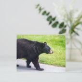 Zwart beer briefkaart (Staand voorkant)