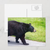 Zwart beer briefkaart (Voorkant / Achterkant)