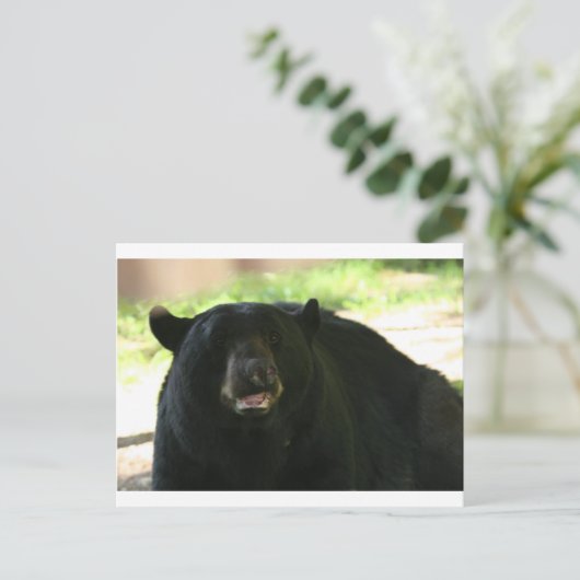 zwart beer briefkaart (Staand voorkant)