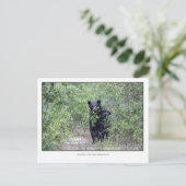 Zwart Beer Briefkaart (Staand voorkant)