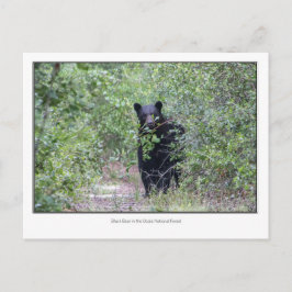 Zwart Beer Briefkaart
