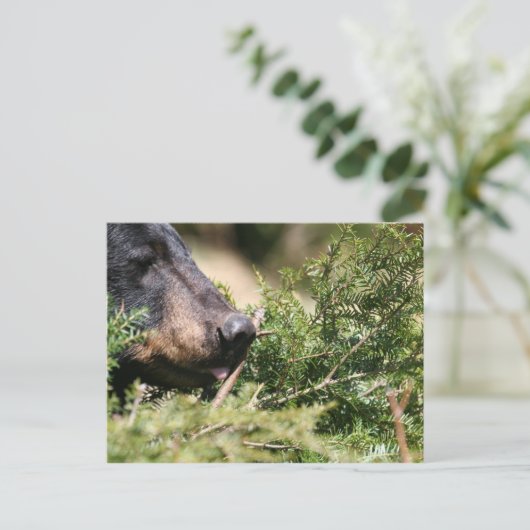 zwart beer briefkaart (Staand voorkant)