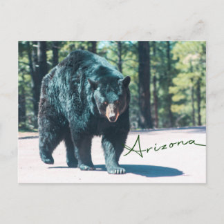 Zwart Beer Briefkaart