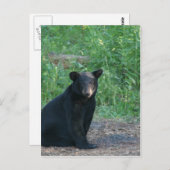 zwart beer briefkaart (Voorkant / Achterkant)