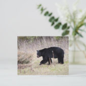 Zwart Beer Briefkaart (Staand voorkant)