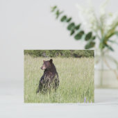 Zwart Beer Briefkaart (Staand voorkant)