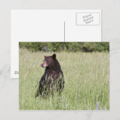 Zwart Beer Briefkaart (Voorkant / Achterkant)