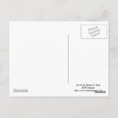 Zwart Beer Briefkaart (Achterkant)