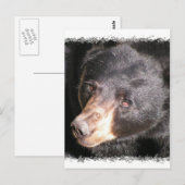 Zwart Beer Briefkaart (Voorkant / Achterkant)