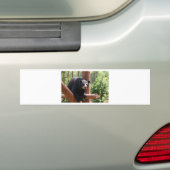 Zwart Beer Bumpersticker (Op auto)