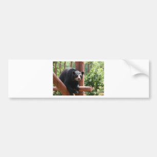 Zwart Beer Bumpersticker