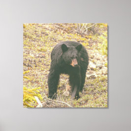 Zwart Beer Canvas Afdruk