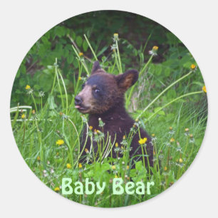 Zwart Beer Cub eten Paardenbloemen Foto Ronde Sticker