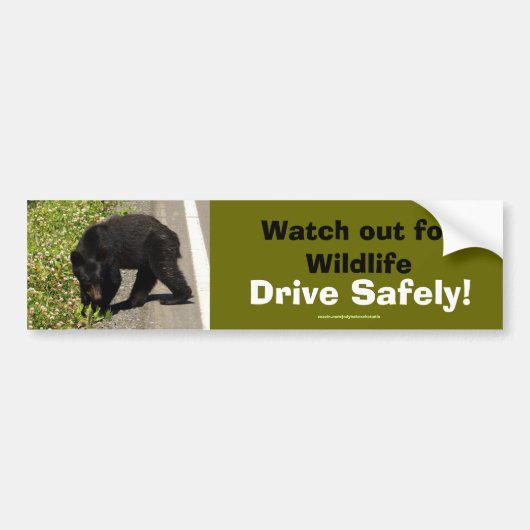 Zwart Beer Cub Wildlife Supporter Bumpersticker (Voorkant)