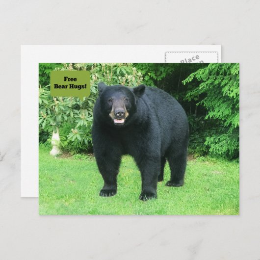 Zwart Beer - "Cubby Free Beer Hugs!" Briefkaart (Voorkant / Achterkant)