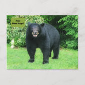 Zwart Beer - "Cubby Free Beer Hugs!" Briefkaart (Voorkant)