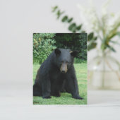 Zwart Beer - "Cubby, ik luister!" Briefkaart (Staand voorkant)