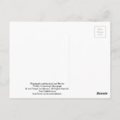 Zwart Beer - "Cubby, ik luister!" Briefkaart (Achterkant)