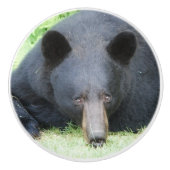 Zwart Beer - "Cubby"-keramische knop (Voorkant)