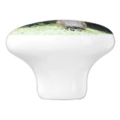 Zwart Beer - "Cubby"-keramische knop (Zijkant)