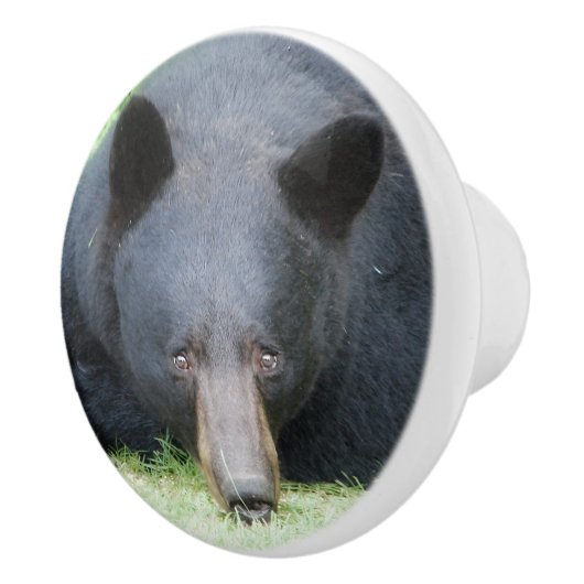 Zwart Beer - "Cubby"-keramische knop (Rechts)