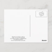 Zwart Beer - "Cubby - Let's Make a Deal" Briefkaart (Achterkant)