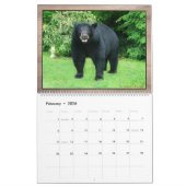 Zwart Beer - Cubby Love 2025 Kalender (Feb 2026)