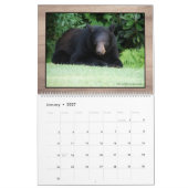 Zwart Beer - Cubby Love 2025 Kalender (Jan 2027)