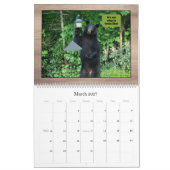 Zwart Beer - Cubby Love Humor 2025 Kalender (Mar 2027)