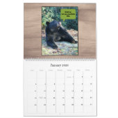 Zwart Beer - Cubby Love Humor 2025 Kalender (Jan 2026)