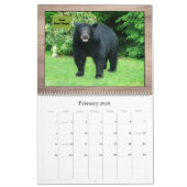 Zwart Beer - Cubby Love Humor 2025 Kalender (Feb 2026)