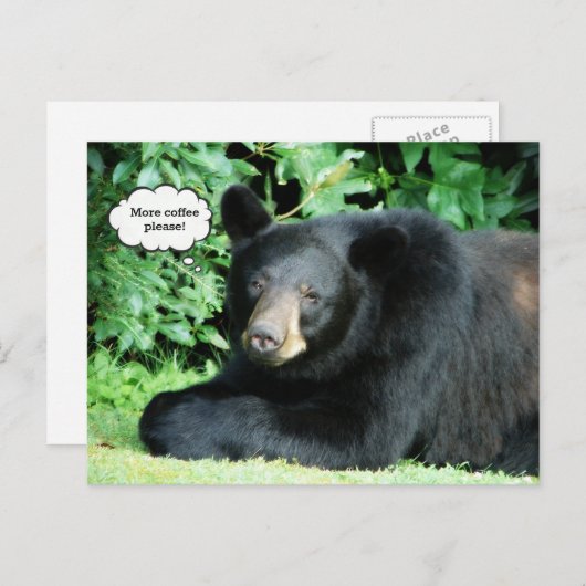 Zwart Beer - "Cubby More Coffee Please" Briefkaart (Voorkant / Achterkant)