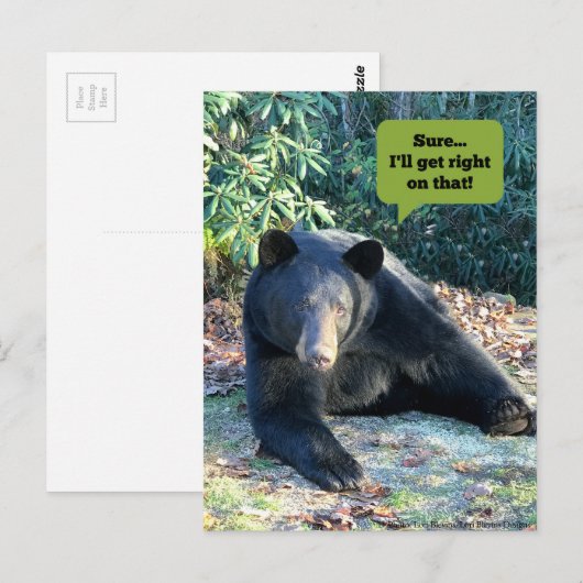 Zwart Beer - "Cubby Sure I'll get right on that!" Briefkaart (Voorkant / Achterkant)