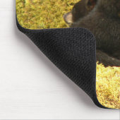 Zwart Beer Cubs Muismat (Hoek)