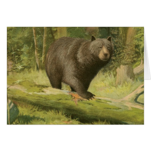 Zwart Beer dat op een boomstam steekt (Voorkant Horizontaal)