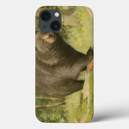 Zwart Beer dat op een boomstam steekt Case-Mate iPhone Case (Achterkant)