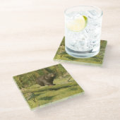 Zwart Beer dat op een boomstam steekt Glazen Onderzetter (Schuin)