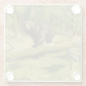 Zwart Beer dat op een boomstam steekt Glazen Onderzetter (Achterkant)