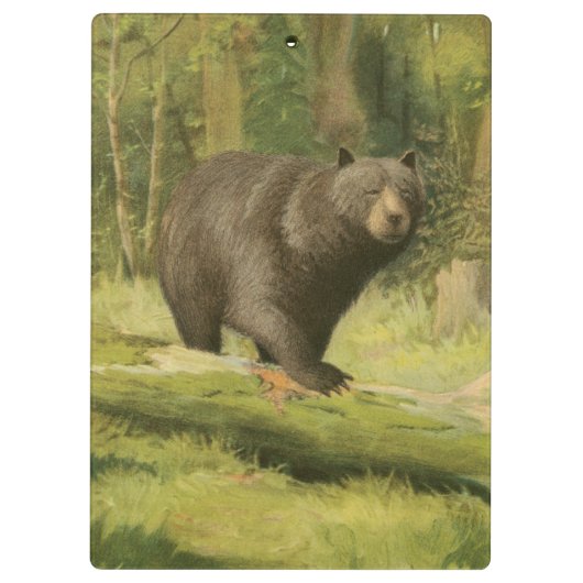 Zwart Beer dat op een boomstam steekt Klembord (Achterkant)