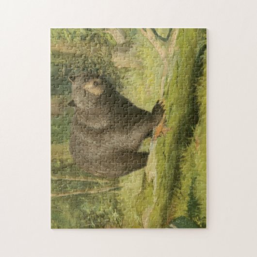 Zwart Beer dat op een boomstam steekt Legpuzzel (Verticaal)