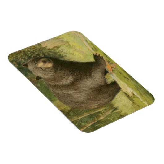 Zwart Beer dat op een boomstam steekt Magneet (Rechterzijde)