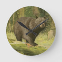 Zwart Beer dat op een boomstam steekt