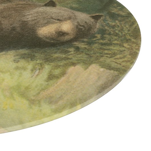 Zwart Beer dat op een boomstam steekt Snijplank (Hoek)