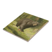 Zwart Beer dat op een boomstam steekt Tegeltje (Zijkant)