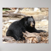 "Zwart Beer" door Carter L. Shepard Poster (Voorkant)