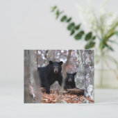 Zwart Beer en Briefkaart kubussen (Staand voorkant)