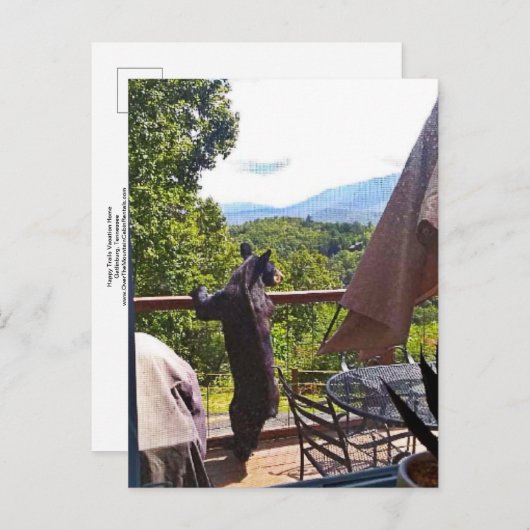 Zwart Beer geniet van Uitzichten in het Briefkaart (Voorkant / Achterkant)