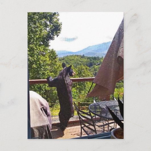 Zwart Beer geniet van Uitzichten in het Briefkaart (Voorkant)